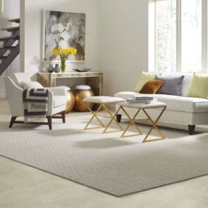 Living Room Area Rug | The Flooring Center