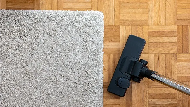 Daily care rug | The Flooring Center